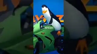 The 4 types of penguin