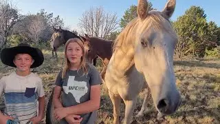 Another Load On the Road – Watering and Hauling Horses to the Lease Land