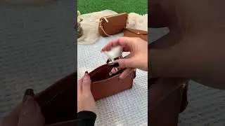 Comparison of Toiletry Pouch 15 / Medium Envelope / HCC X DUYP Mini Pochette - Dressupyourpurse