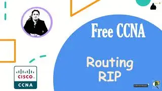 Free CCNA 200-301 course- Version 2022 - Day 7: RIP - Packet Tracer Activity