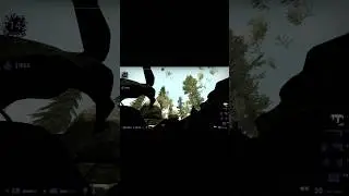 Баг на Blacksite 