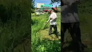 Коса-литовка