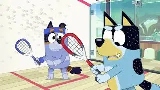Bandit vs Stripe Squash Match | Shorts Squash (Edits)