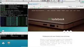 Finalizando Assunto Docker Dockerfile Container Server Apache2 Mod Evasive no Manjaro18.