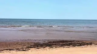 Atlantic waters swim