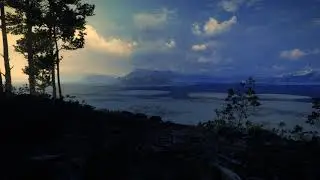 TheHunter: Call of the Wild