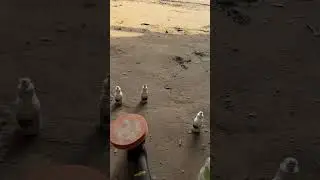 Делаем дела