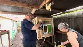 Installing an Omlet brand automatic coop door