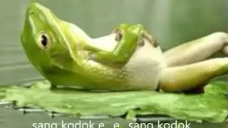 Sang Kodok - Lagu Anak - Anak Terpopuler