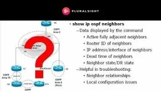 Show and Debug OSPF Commands