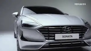 Hello, Sonata!