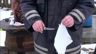 проба пера