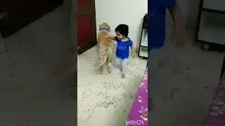 poor Doggy !! #shorts #babyshorts #dogs #babyanddog #entertainment