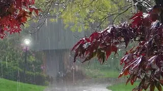 Beautiful Rain Relaxing Video | Rain Sound For Sleep And Relaxation.