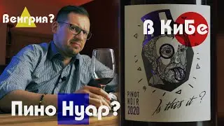 Этот мужчина вовсе не тот, за кого себя выдает. Пино Нуар. Венгрия. Красное вино. Is this it?