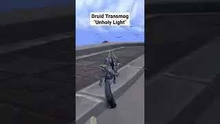 Druid Transmog 