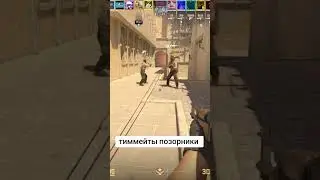 Тиммейты позорники #cs2