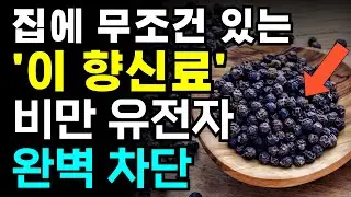 이 작은 '이 것' 한 알이 비만 유전자를 억제한다고? 놀라운 진실 공개! 비만억제  건강비법 후추효능 항염 항산화 세포노화방지