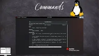 Commands! | What Are The Different Parts Of A Command? | How To Get Help In Linux.