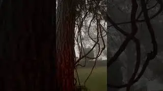 Antalya’da Yağmurlu Bir Gün