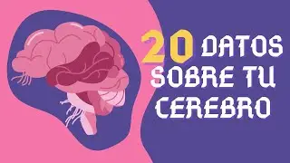ESTO ES INCREIBLE | Curiosidades sobre el cerebro humano