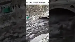 strong action of nature #shorts