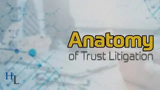 Anatomy of Trust Litigation | Protecting Beneficiaries