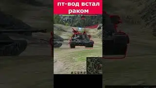 две наседки провели увлекательный бой 