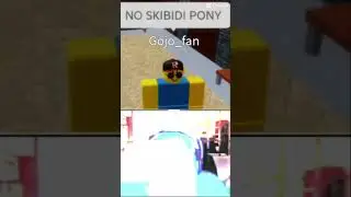 skibidi pony