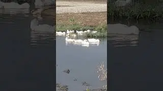 Умиротворение в столь неспокойное время