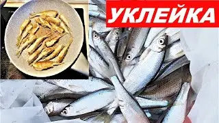 ЛОВЛЯ УКЛЕЙКИ. КАК ПРИГОТОВИТЬ