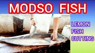 Modso Fish cutting | Lemon Fish | Fish Cutting Techniques In Kasimedu