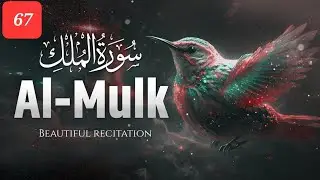 67 Surah Mulk #surahmulk #allah #quran #tilawat