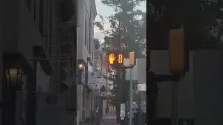 Econolite Pedestrian Signal