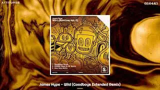 James Hype - Wild (Goodboys Extended Remix)
