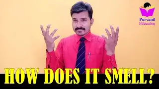Std 11 English Sec lang Gujarati Med Unit 07 Read 1 HOW DOES IT SMELL? Purvanil Education