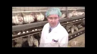 What Does the World Eat for Breakfast?