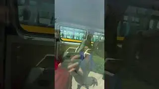 🚌 Снова микроавтобус от ZhongTong. Все в телегу! )