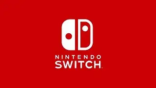 Nintendo Switch - (Unused Anti-Piracy Startup)