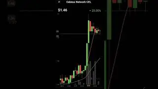 CEL coin | celsius network crypto price increased 