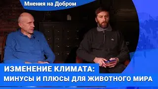 Как изменения климата влияет на насекомых и птиц