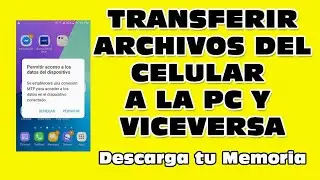 Como transferir archivos del CELULAR a la PC y de la PC al CELULAR Curso Completo