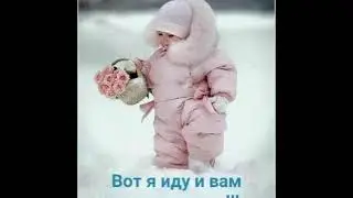 Трасляци