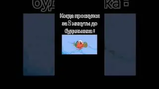Жизненно
