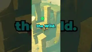 The CRAZIEST Attack In Zelda! #totk #shorts #botw