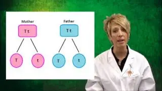 Genetics and Heredity