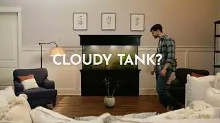 API brand commercial 30s