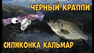 Fishing Planet PS4 # Черный краппи силиконка кальмар. Миссия Мастерство