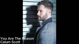 You Are The Reason Lyrics By Calum Scott
