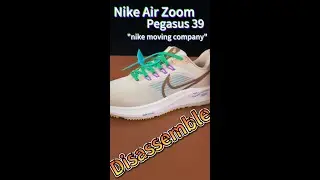 Disassemble A Pair $100 Road Runing Shoes Nike Pegasus 39 Premium Nike Moving Company #nike #runing
